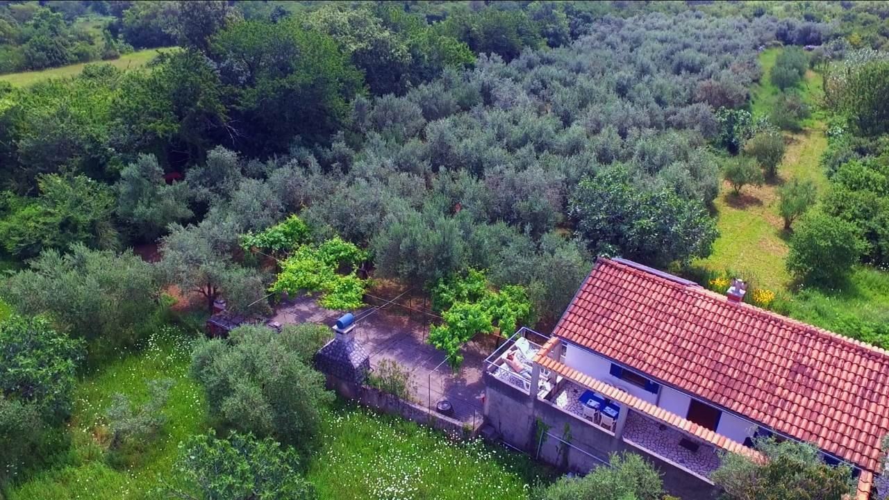 Das EcoHouse aus der Luft, sein rotes Dach umgeben von Olivenbäumen
