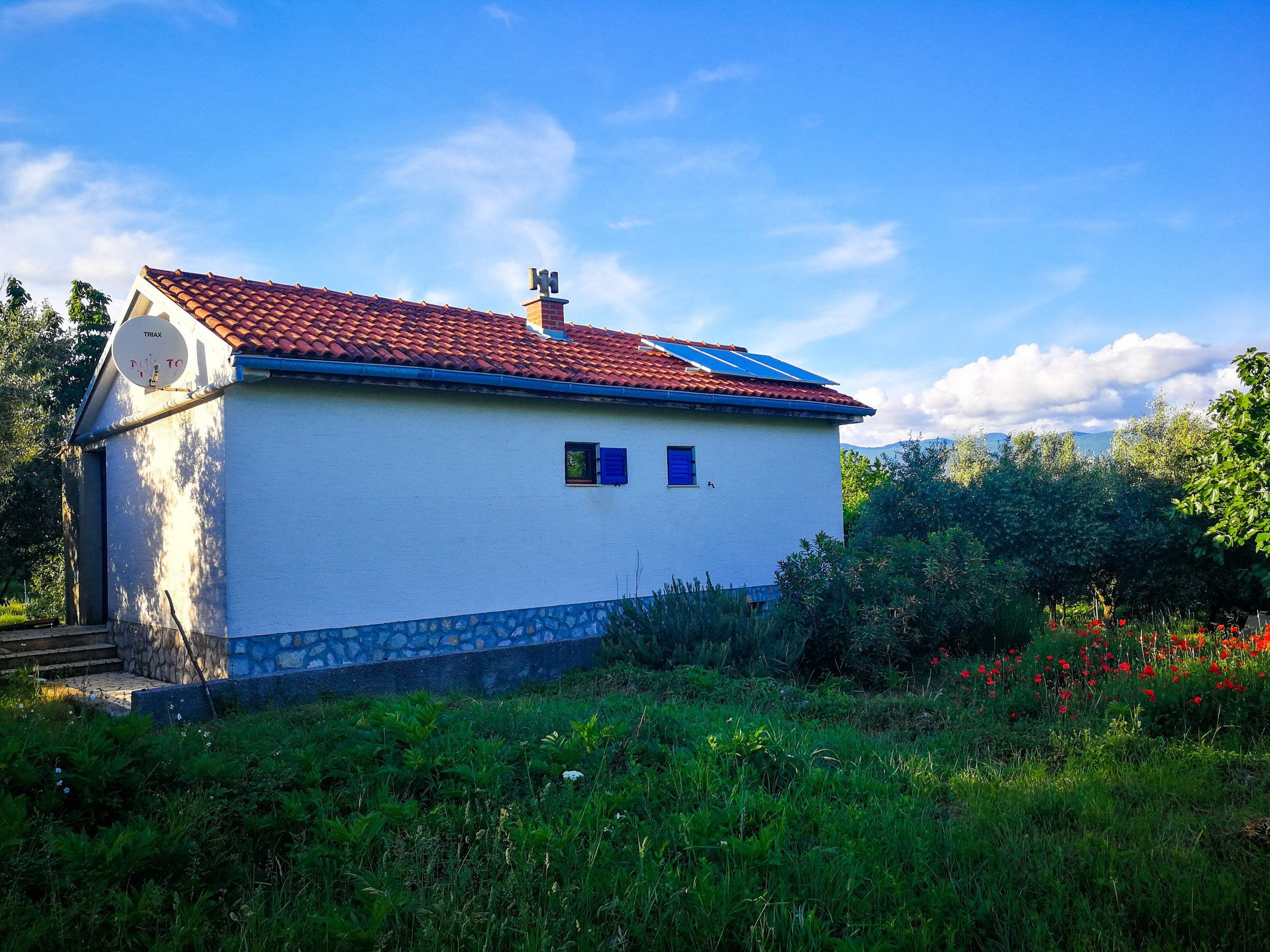 Das EcoHouse, ein weißes eingeschossiges Haus mit rotem Ziegeldach und Solarmodulen, in einem grünen Garten