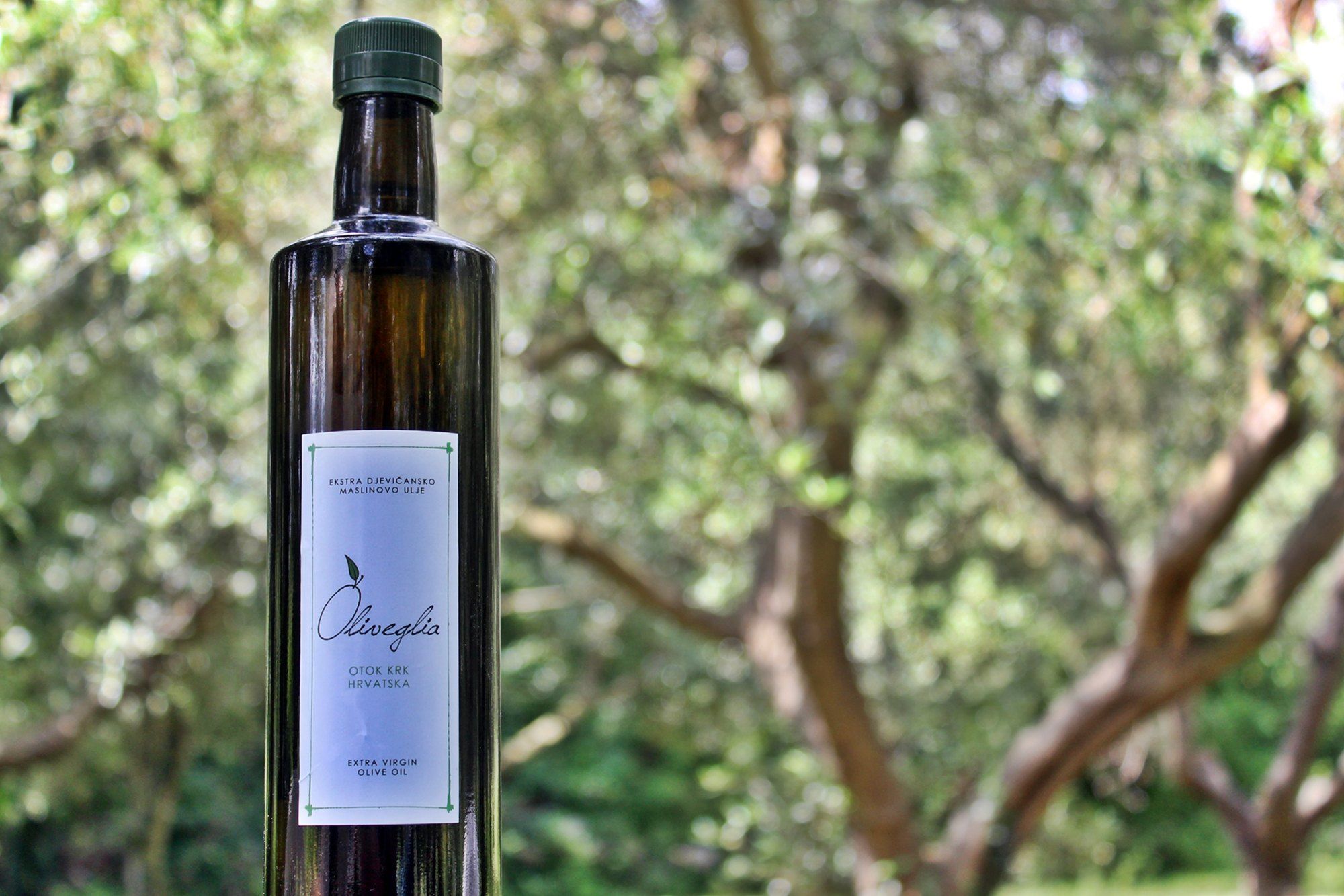 Eine Flasche natives Olivenöl extra von Oliveglia in dunklem Glas mit weißem Etikett, im Olivenhain
